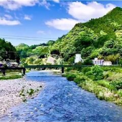 遊魚券が必要な静岡の川と詳細情報【西部地区】