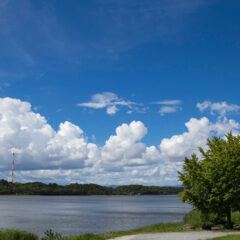 ☕️ Shall we have a break?　佐鳴湖周辺のカフェ特集！