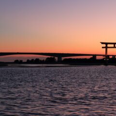 🐟 浜松の海。『浜名湖』に住む生物たち 🦀【後編】