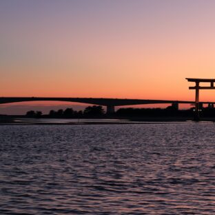 🐟 浜松の海。『浜名湖』に住む生物たち 🦀【後編】
