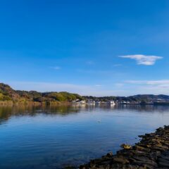 🦊静岡西部（浜松）における生物多様性の『今』🌎