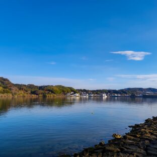 🦊静岡西部（浜松）における生物多様性の『今』🌎