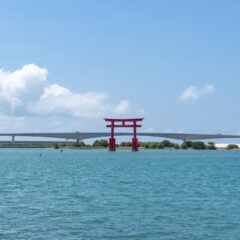 🐟 浜松の海。『浜名湖』に住む生物たち 🦀【前編】