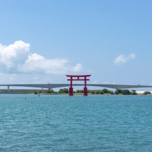 🐟 浜松の海。『浜名湖』に住む生物たち 🦀【前編】