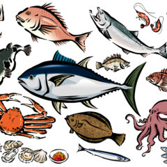 🐟『身体に良い』魚ランキング２０２２年版！🏃‍♀️