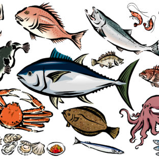 🐟『身体に良い』魚ランキング2022年版!🏃♀️