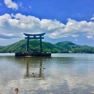 【日本神話】🌊日本に伝わる『海神様』第一弾⛩【伝承】