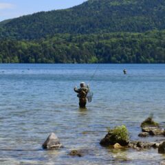 🐋『いつかは釣ってみたい！』日本の【怪魚】特集！🦈