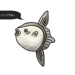 不思議な魚『マンボウ』の噂！嘘？ホント？