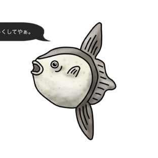 不思議な魚『マンボウ』の噂!嘘?ホント?
