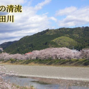 太田川水系で釣りをしよう！- 釣れる魚や。釣り方や。-