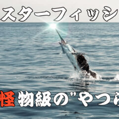 モンスターフィッシュを求めて！『世界が熱狂する”怪物級”のフィッシング！』第１弾！