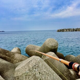 初心者でも簡単！お手軽釣法『穴釣り』の魅力🎣　
