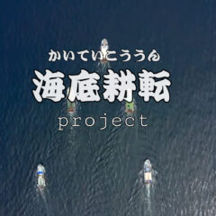 海洋資源減少は公害のせいではない！？豊かな海を取り戻す『海底耕転プロジェクト』とは？
