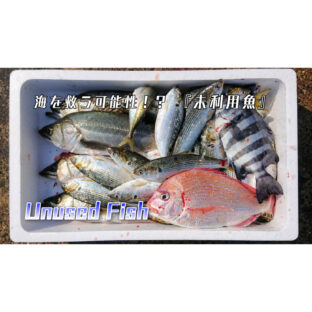 海の豊かさを守る可能性『未利用魚』って知ってる?