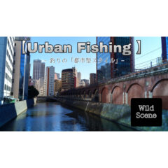 コロナ禍で注目されている新たなスタイル『アーバンフィシング』とは！？