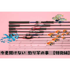 【初心者必見！】今更聞けない釣りの基礎知識  -『釣り竿編（前編）』- 【種類】