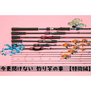 【初心者必見！】今更聞けない釣りの基礎知識  -『釣り竿編（前編）』- 【種類】
