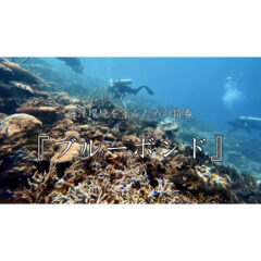 【SDGs】美しい海洋環境を守るための資金を調達できる『ブルーボンド』とは？【債権】