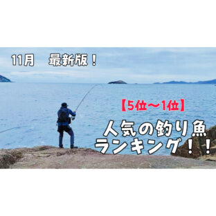 【2022】『11月』釣り人に人気の釣り魚ランキング！5位〜1位【最新版】