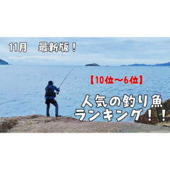 【2022】『11月』釣り人に人気の釣り魚ランキング！10位〜6位【最新版】