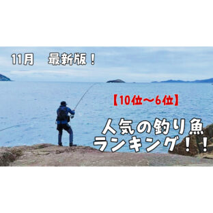 【2022】『11月』釣り人に人気の釣り魚ランキング！10位〜6位【最新版】