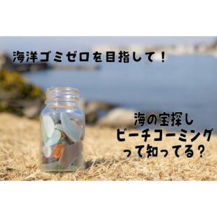 【SDGs】宝探しで海洋ゴミをゼロに！？『ビーチコーミング』とは？【海岸清掃】