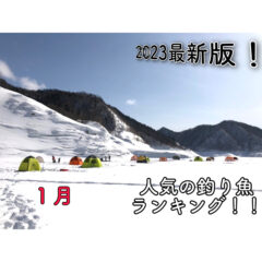 【2023】『１月』釣り人に人気の釣り魚ランキング！【最新版】