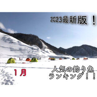 【2023】『１月』釣り人に人気の釣り魚ランキング！【最新版】