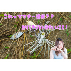 【ルール】これってマナー違反？釣りでやらない方がいいこと！【見本】