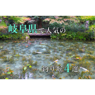 【釣り堀】岐阜で『管釣』！岐阜県でオススメの釣り堀４選！【管理釣り場】