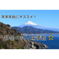 【2023】【西部】年末年始オススメの静岡の釣り場情報【中部】【伊豆】