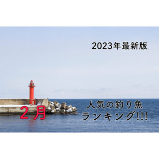 【2023】『２月』釣り人に人気の釣り魚ランキング！【最新版】