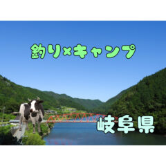 【釣りキャン】岐阜県の釣りができるキャンプ場！【フィッシング】