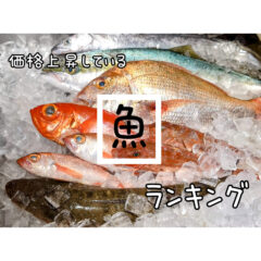魚が高級食材に！？値上がりしている魚ランキング！