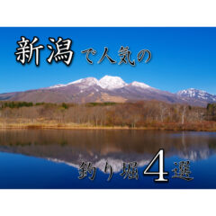 【釣り堀】新潟で『管釣』！新潟県でオススメの釣り堀４選！【管理釣り場】