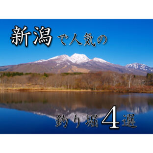 【釣り堀】新潟で『管釣』！新潟県でオススメの釣り堀４選！【管理釣り場】
