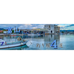 【【釣り堀】富山で『管釣』！富山県でオススメの釣り堀４選！【管理釣り場】