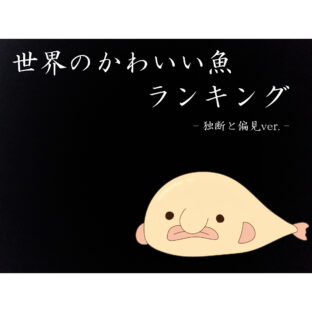 【2023最新版】世界のかわいい魚ランキング-独断と偏見Ver.-【きもかわ】