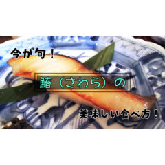 【３月】今が旬！鰆（さわら）の美味しい料理！（レシピ付き）【魚】