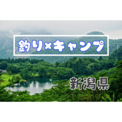 【釣りキャン】新潟県の釣りができるキャンプ場！【フィッシング】