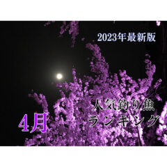 【2023】『４月』釣り人に人気の釣り魚ランキング！【最新版】