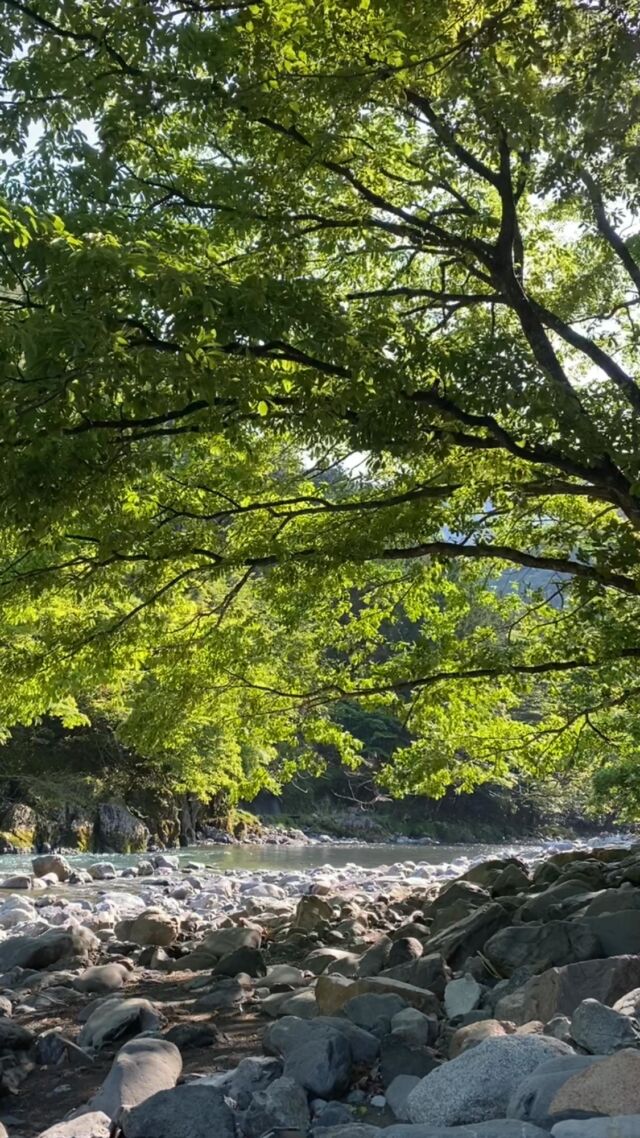 Instagram 投稿 17923271597360999