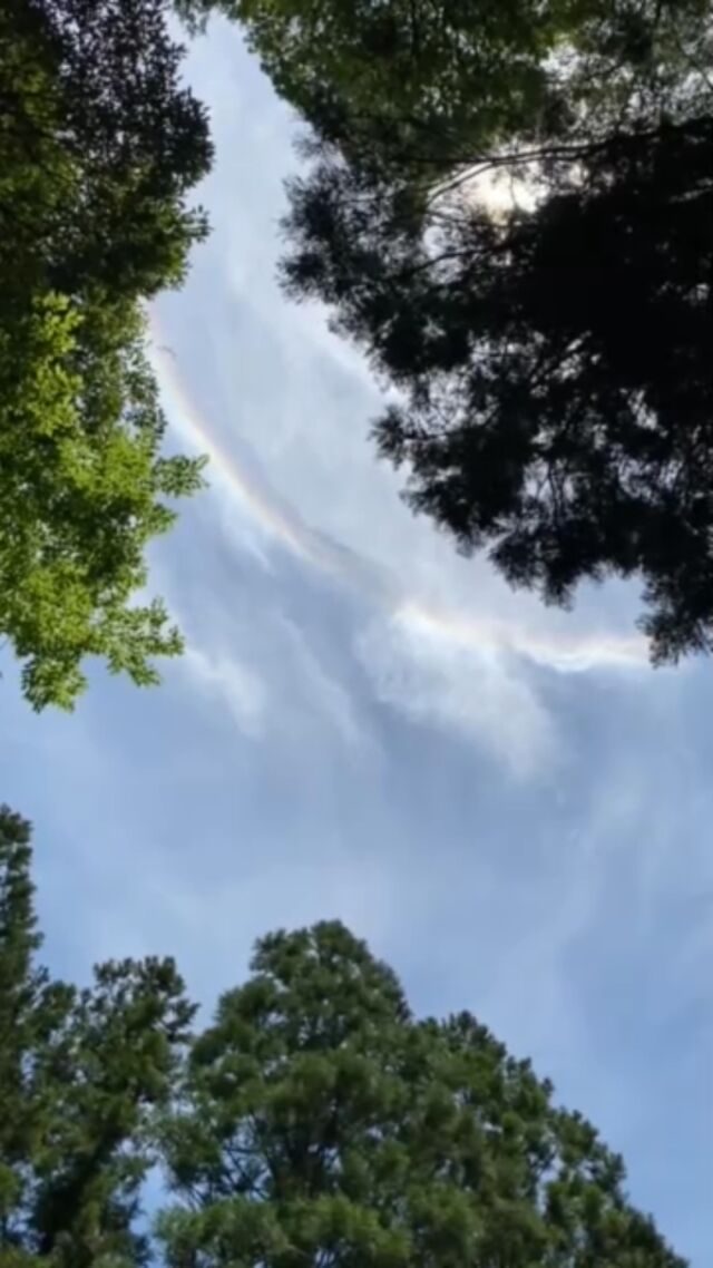 Instagram 投稿 17934543338229260