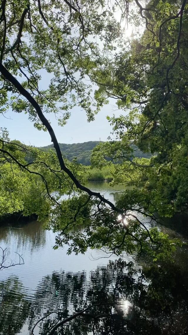 Instagram 投稿 18028601488374523