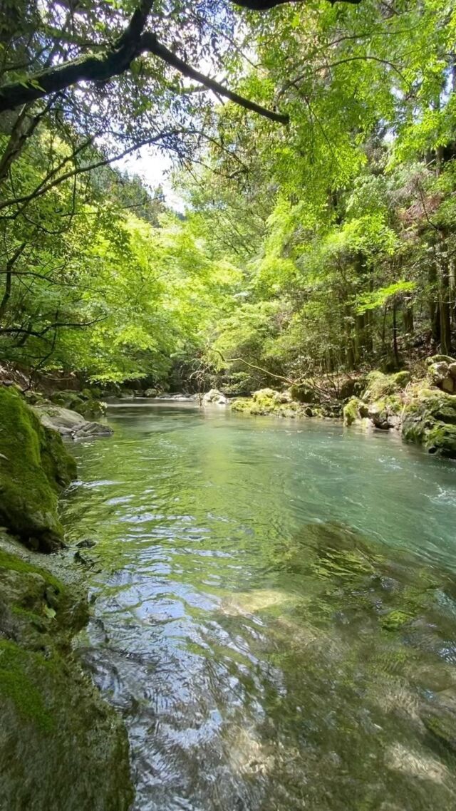 Instagram 投稿 18262092814111164